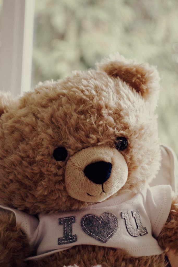 A stuffed bear faces the viewer in a portrait. The bear is wearing a t shirt that says “I ♥ U”